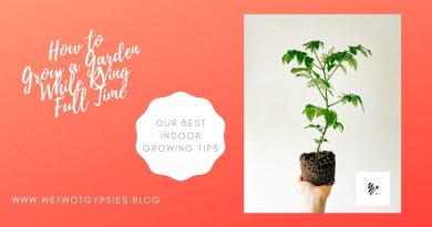How to Grow a Garden While RVing Full-Time |Our Best Indoor Growing Tips